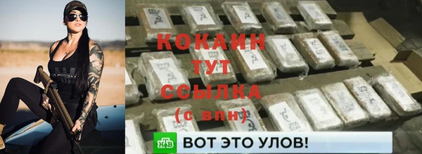 Альфа ПВП Богородск