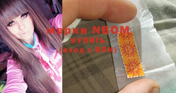spice Богородицк