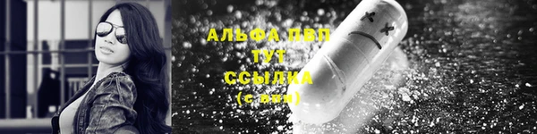 spice Богородицк