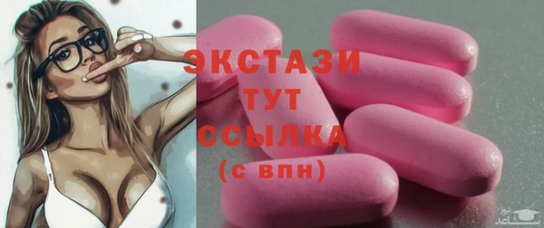 spice Богородицк