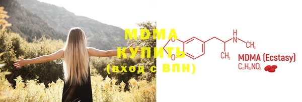 spice Богородицк