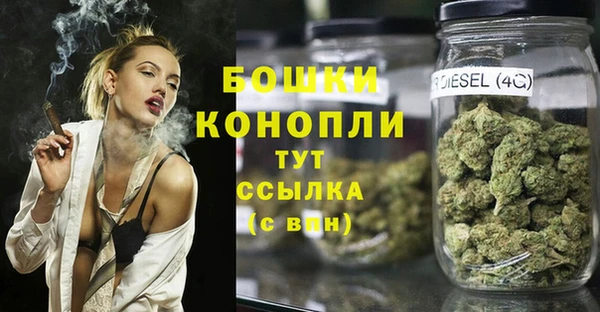 Альфа ПВП Богородск