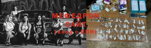 spice Богородицк