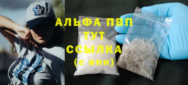 spice Богородицк
