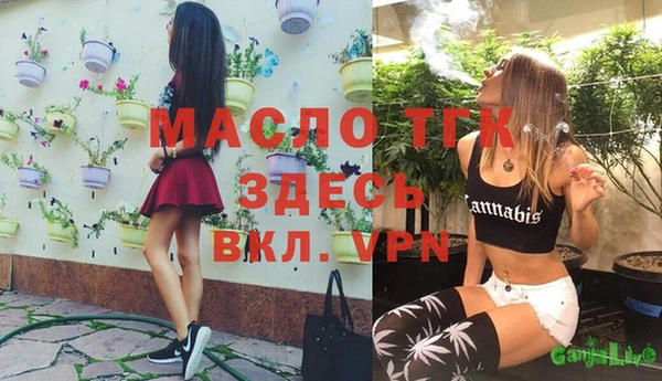 Альфа ПВП Богородск