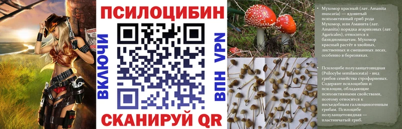Купить закладки Белорецк Псилоцибиновые грибы Psilocybe